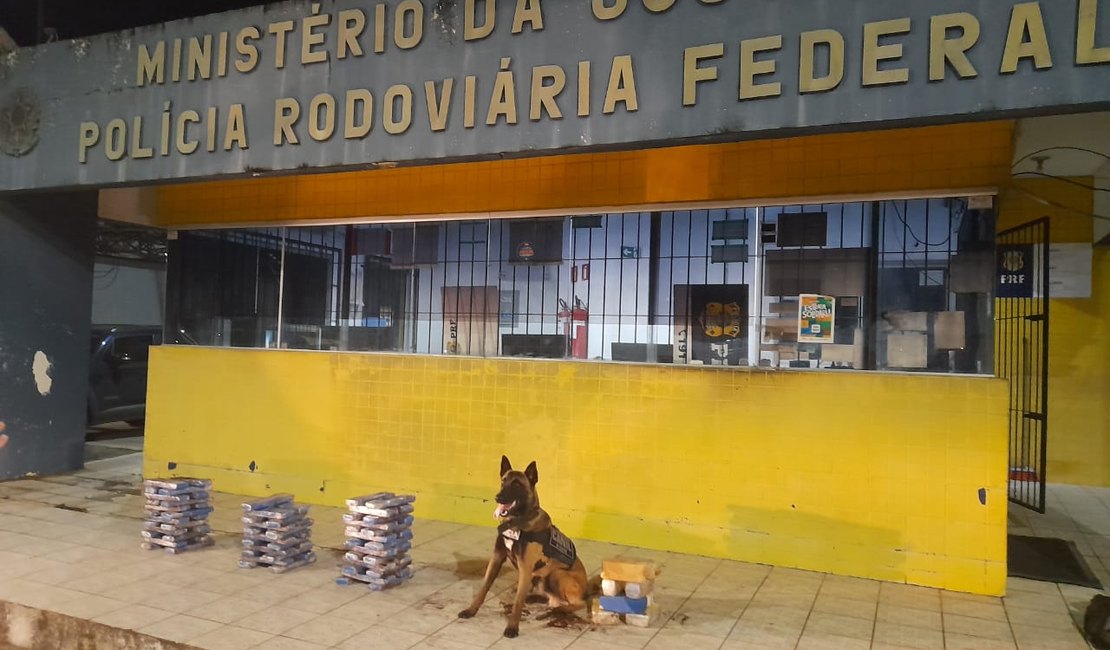 Cão treinado localiza droga em carreta que seria levada para município de Pilar
