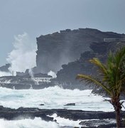 Surfista brasileiro relata pânico vivido por moradores do Havaí pela passagem de furacão: 'Pesadelo'