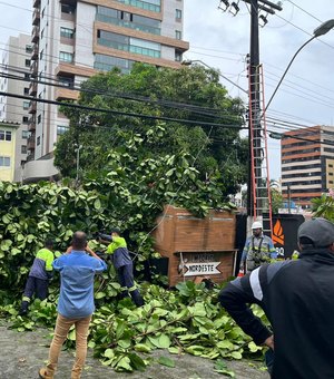 Árvore cai em cima de carrinho de food truck na Ponta Verde