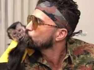 Latino ganha novo macaco-prego