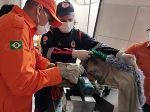 Homem prende mão em máquina de amaciar carne e é resgatado pelos bombeiros