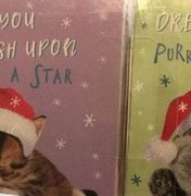 Em Londres, menina encontra pedido de socorro em cartão de Natal