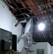 Vídeo mostra jumento caindo de telhado de casa no Sertão da PB