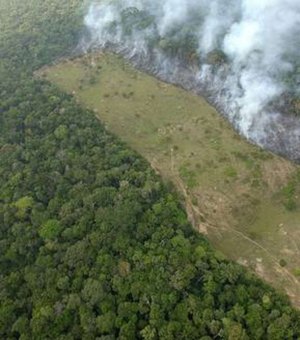 Noruega suspende repasse para proteção da Amazônia