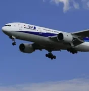 Homem embriagado morde tripulante e avião retorna para aeroporto no Japão