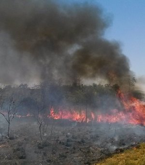 Amazônia acumula até setembro maior nº de queimadas em 10 anos