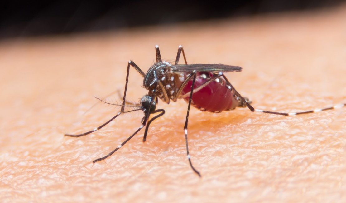 Roraima confirma 5.750 casos de malária no primeiro trimestre