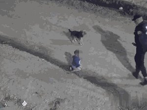 [Vídeo] Bebê foge de casa engatinhando com cachorro e é salvo pela polícia
