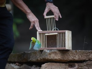 FPI realiza 2º soltura e devolve 119 aves para o bioma da Mata Atlântica em Coruripe