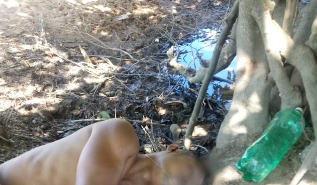 Homem morre baleado perto de rio de Porto Calvo