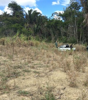Grupamento aéreo localiza e recupera veículo com queixa de roubo em matagal