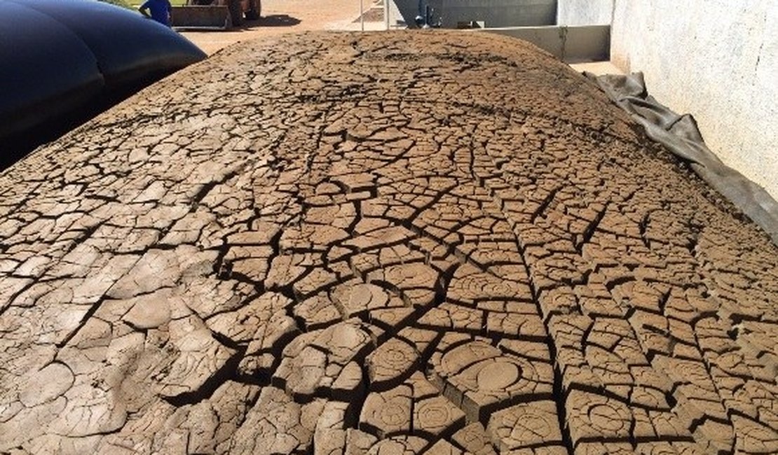 Resíduo gerado por estação de tratamento de água vira tijolos cerâmicos em Arapiraca