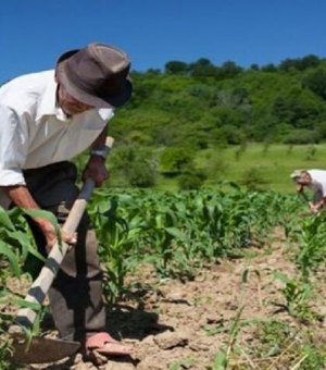 Agricultores de Arapiraca e região vão receber kits para irrigação