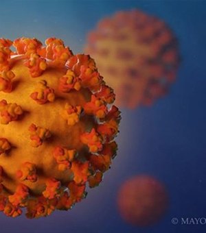 Covid-19: estudo diz que infectados podem gerar anticorpos permanentes