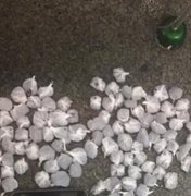 Polícia prende trio com mais de 100 pedras de crack em Arapiraca