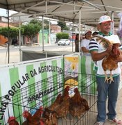 Arapiraca sedia a Feira de Oportunidades Solidárias