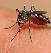 OMS apela para que novo governo mantenha combate ao zika no País