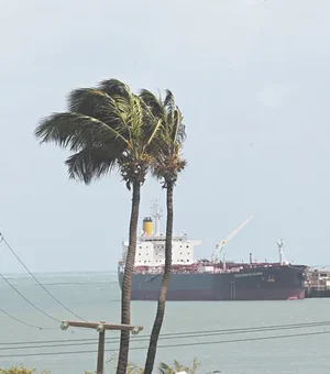 Vento nordeste atinge Alagoas com rajadas de até 50 km/h