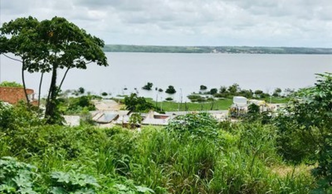 Ufal identifica contaminação por metais pesados na Lagoa Mundaú