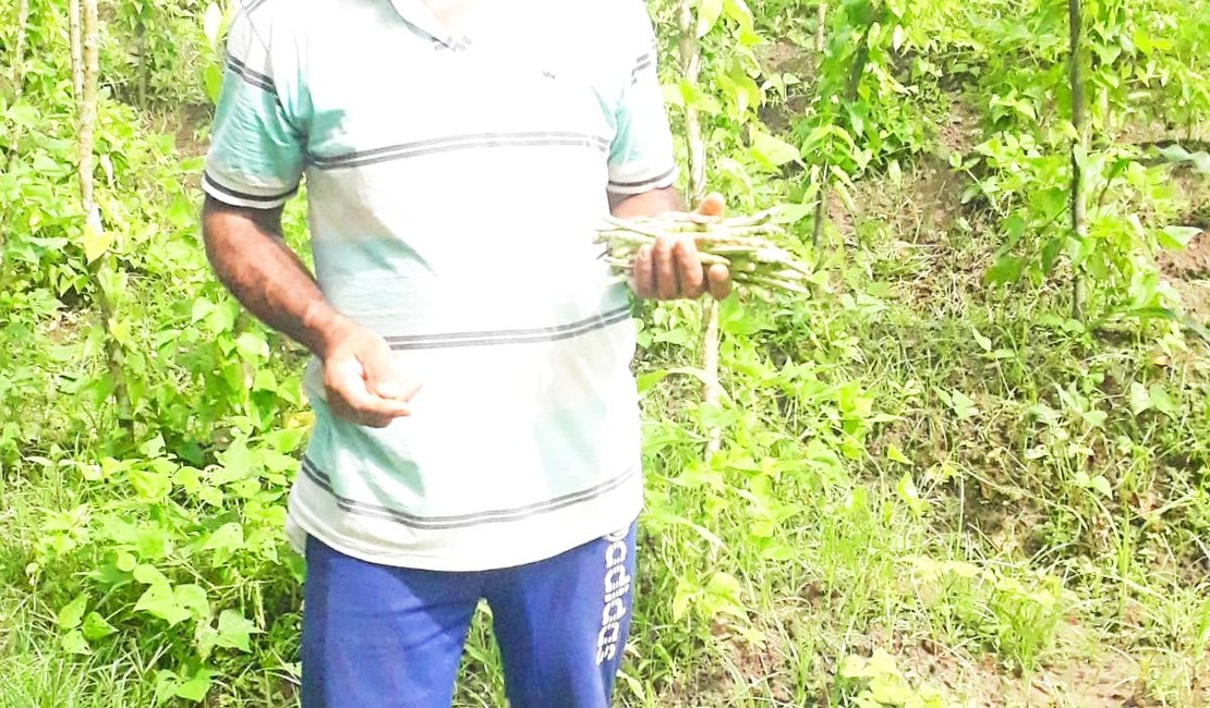 Famílias em Viçosa começam a colher alimentos produzidos em programa agricultural