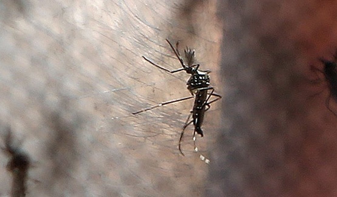 Justiça autoriza prefeitura invadir imóveis no combate à dengue