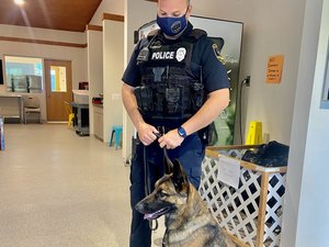 Filhote é resgatado de abrigo e se torna cão policial na Pennsylvania
