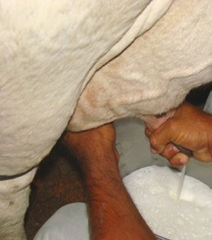 Decreto define recolhimento de ICMS para saída interestadual de leite a granel