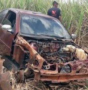 Desmanche de veículos é encontrado na zona rural de Junqueiro