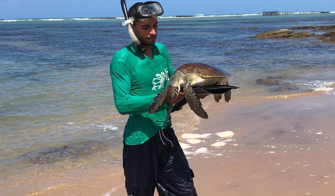 Moradores resgatam tartarugas no bairro da Graça Torta