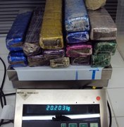 PF prende dois por tráfico de drogas e apreende 20kg de maconha em residência