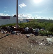 Prefeitura de Arapiraca não recolhe lixo e provoca a proliferação de ratos, baratas e escorpiões