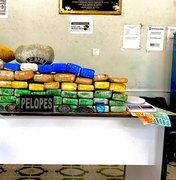 Polícia encontra 50 kg de maconha dentro de residência em Arapiraca