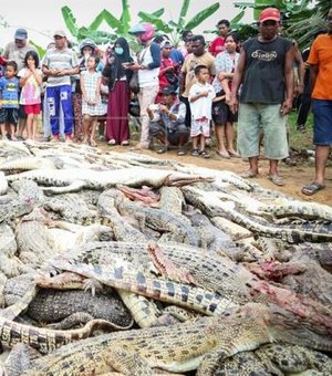 Aldeões matam 292 crocodilos para vingar morte de vizinho na Indonésia