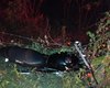 Motociclista morre após veículo invadir contramão e se chocar contra árvore