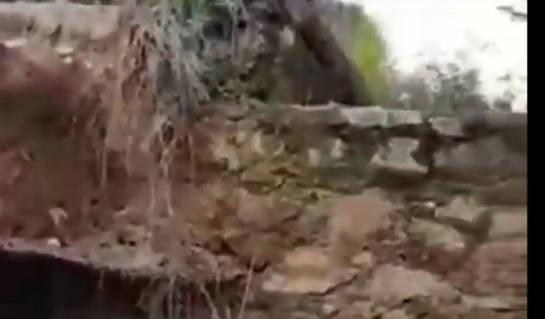 [Vídeo]  Léo Saturnino cobra recuperação de ponte que ameaça desabar na zona rural de Arapiraca