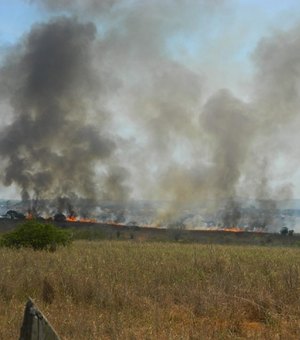 Calor provoca queimadas em terrenos e lixão de Arapiraca