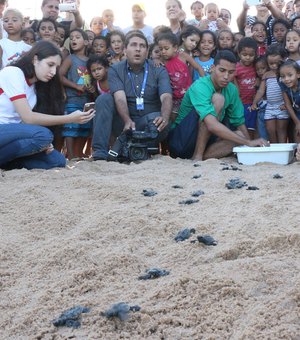Tartarugas iniciam período de desova e Biota recomenda cuidados