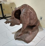 FMAC faz restauração em escultura de Javali da praça Dois Leões