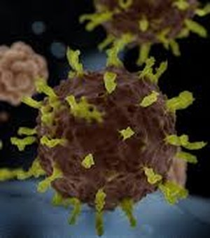 Estudo descobre 21 remédios que bloqueiam coronavírus