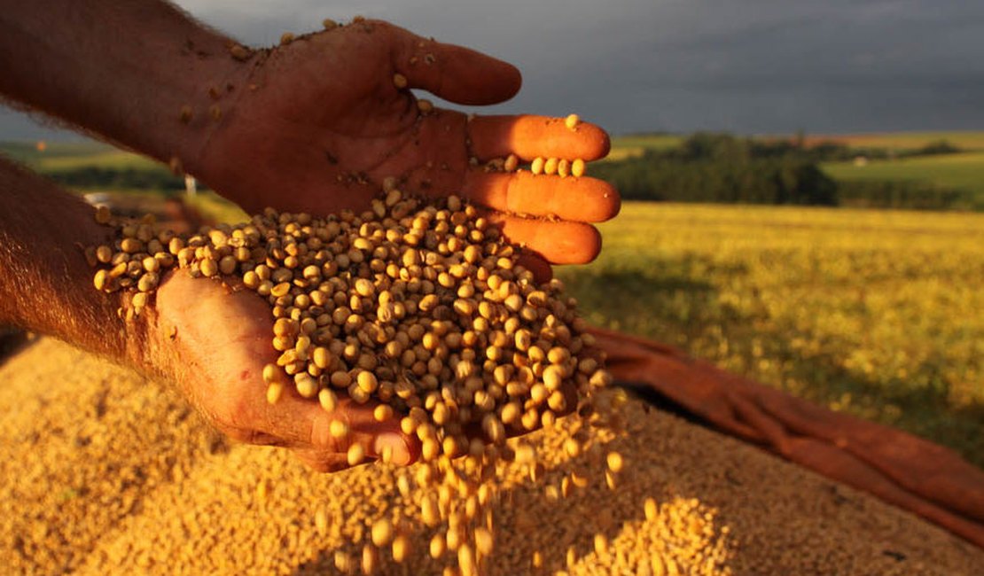 Governo zera imposto de importação de derivados da soja e do milho, diz jornal