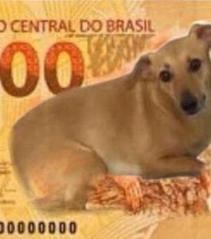 Após nota de R$ 200, Banco Central estuda ação com vira-lata caramelo