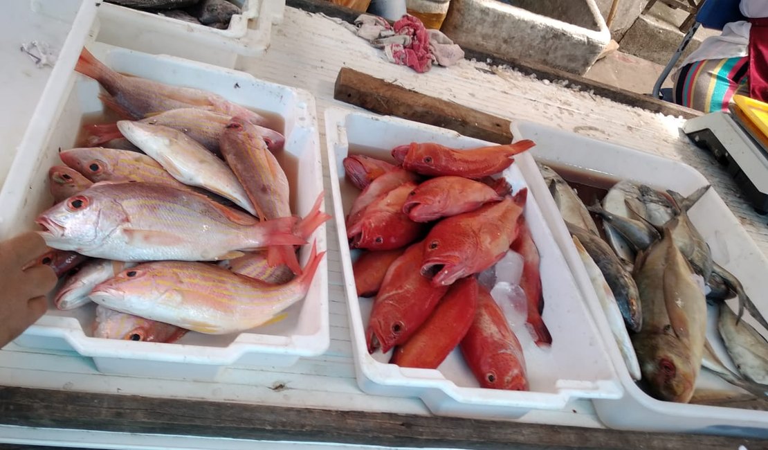 Feira do Peixe aquece comércio de Porto Calvo