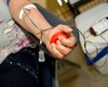 Hemoal Maceió abre para doação de sangue no feriado de Nossa Senhora da Conceição