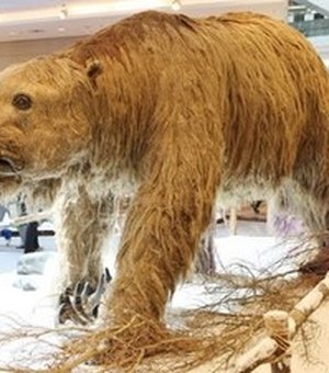 Exposição em Maceió reúne réplicas de animais pré-históricos