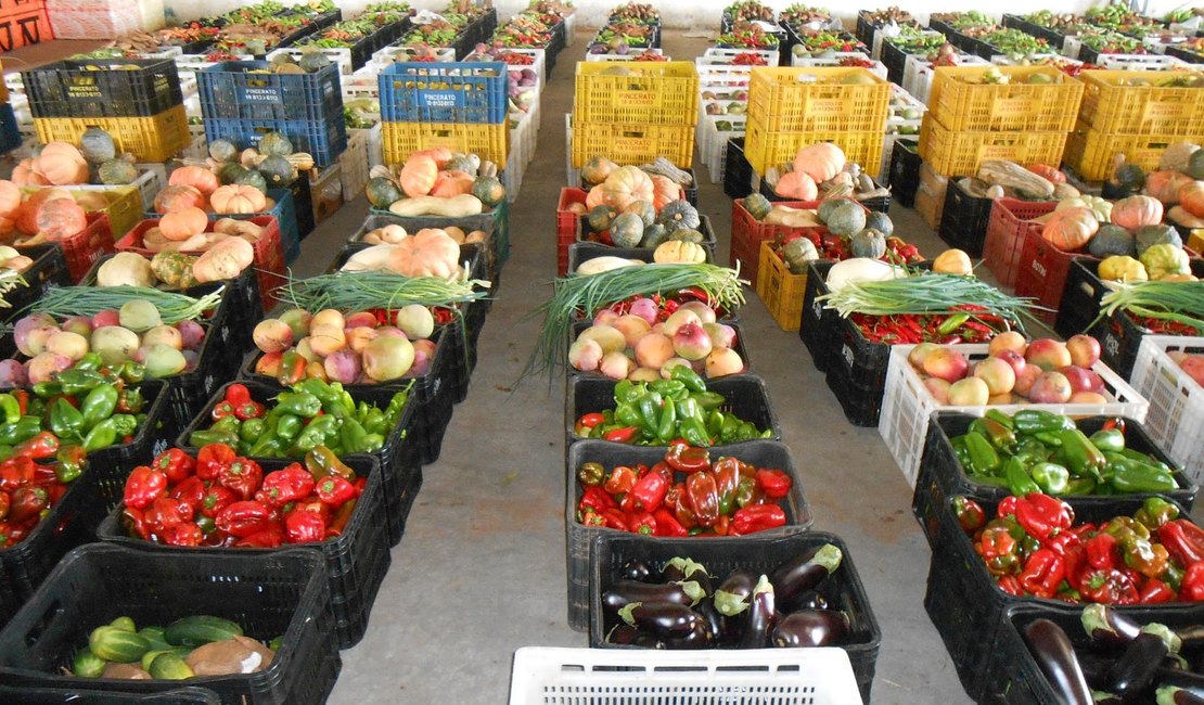 Estado implementa Programa de Aquisição de Alimentos a 800 famílias em Alagoas
