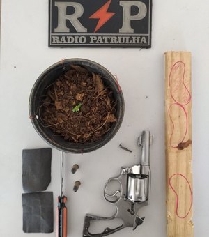 Jovem é detido com revólver e plantação de pé de maconha em Arapiraca