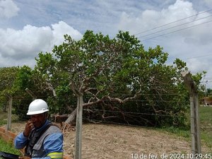 Dezoito municípios sertanejos ficam sem água após queda de árvore em subestação da Casal