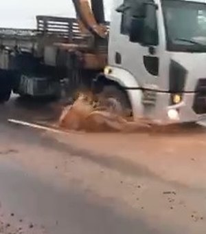 [Vídeo] Enorme buraco em trecho da AL-110 em Arapiraca oferece risco de acidentes
