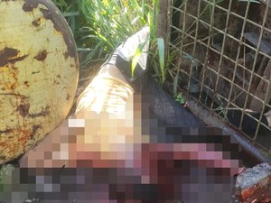 Corpo de jovem assassinado é encontrado em ferro velho de Arapiraca