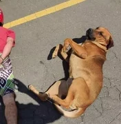 Cão deita ao lado de suspeitos durante abordagem policial no Paraná, e foto viraliza